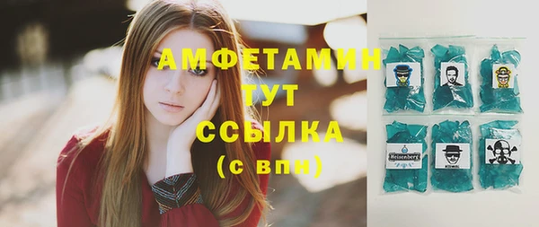 шишки Аркадак