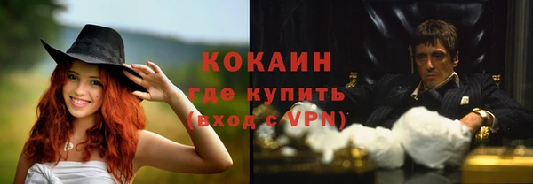 шишки Аркадак