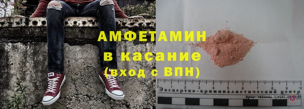 шишки Аркадак